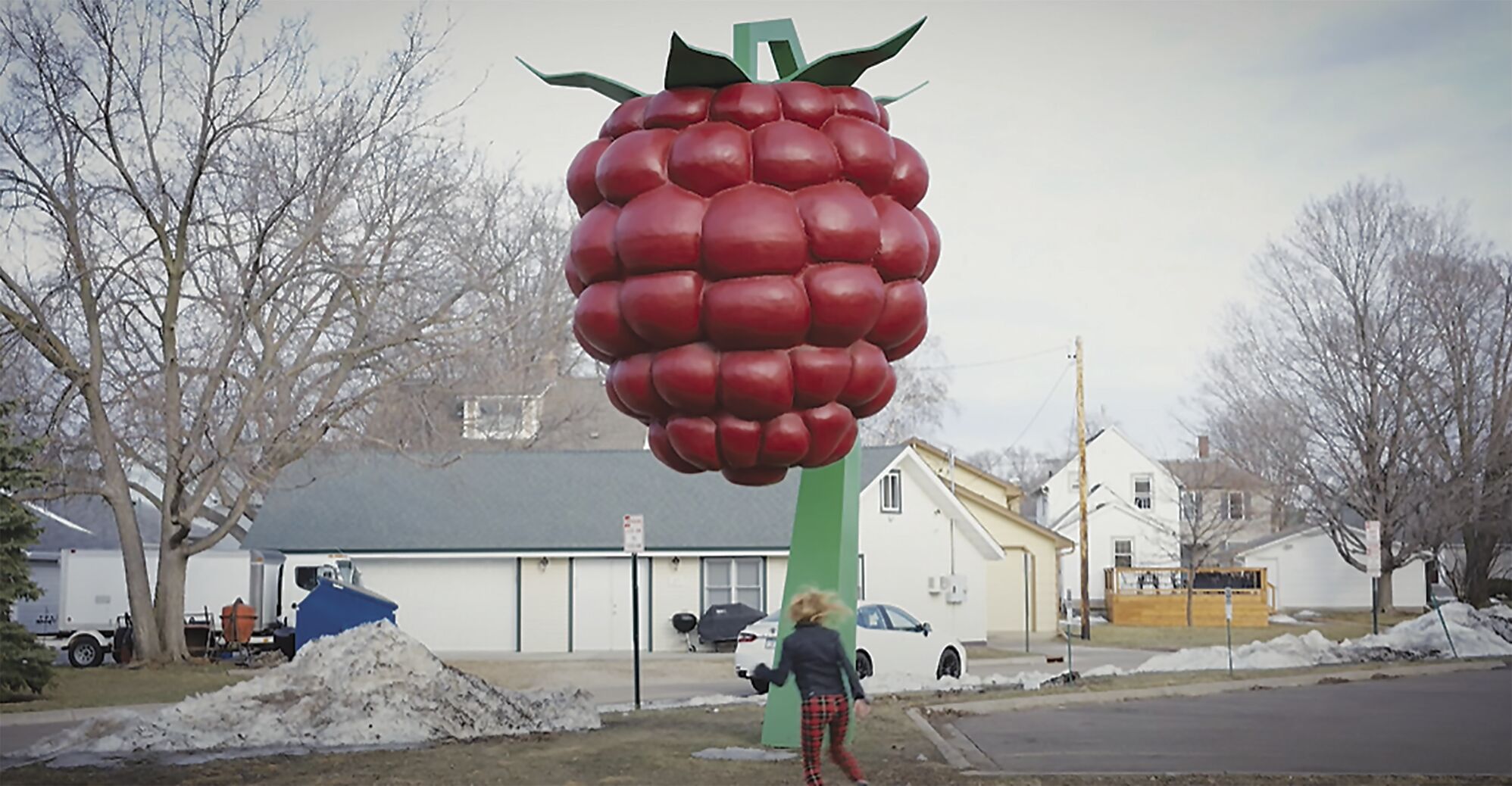 raspberry